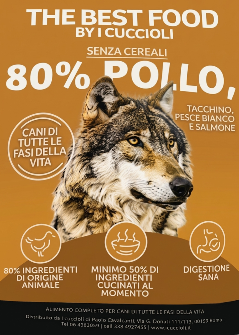 Wilderness - Pollo, Tacchino, Pesce Bianco e Salmone - Cani di tutte le fasi della vita
