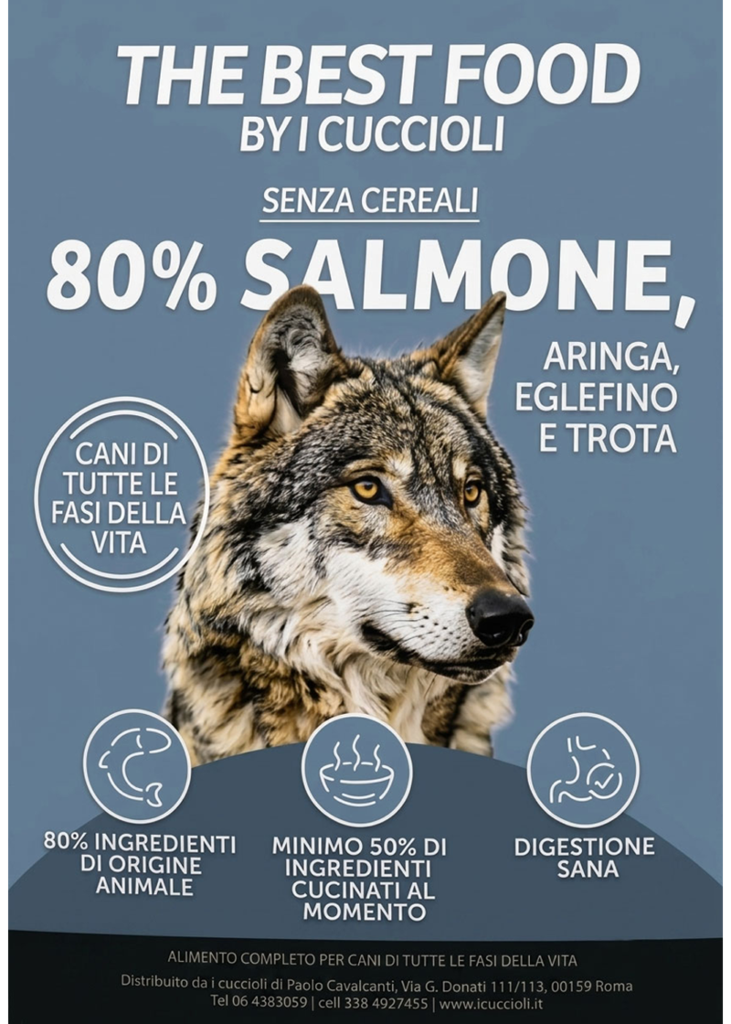 Wilderness - Salmone, Aringa, Eglefino, Trota - Cani di tutte le fasi della vita